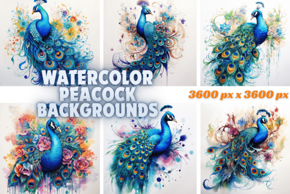Watercolor Peacock Backgrounds: A Designer’s Real-World Review